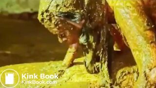 0F67B95, ScatKings.com Scat Porn 5 ScatKings.com Scat Porn