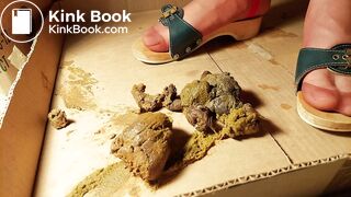 Dr Scholl's Nylon Feet dog sexy, ScatKings.com Scat Porn 7 ScatKings.com Scat Porn