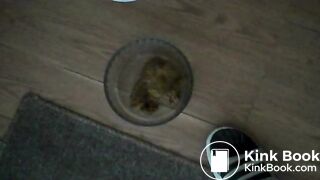 POO Combo !, ScatKings.com Scat Porn 10 ScatKings.com Scat Porn