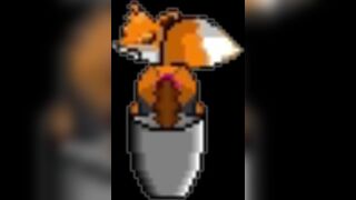 Pooping Fox, ScatKings.com Scat Porn 14 ScatKings.com Scat Porn
