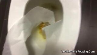 Public Watery Dump, ScatKings.com Scat Porn 4 ScatKings.com Scat Porn