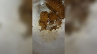 Spluttery dump, ScatKings.com Scat Porn 7 ScatKings.com Scat Porn